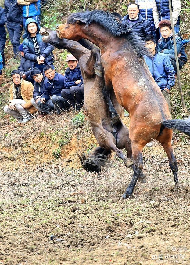 惊心动魄比赛，胜负悬而未决